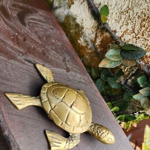 Gorgeous 4" Brass turtle